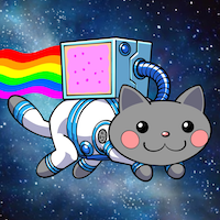 NYAN Meme Coin